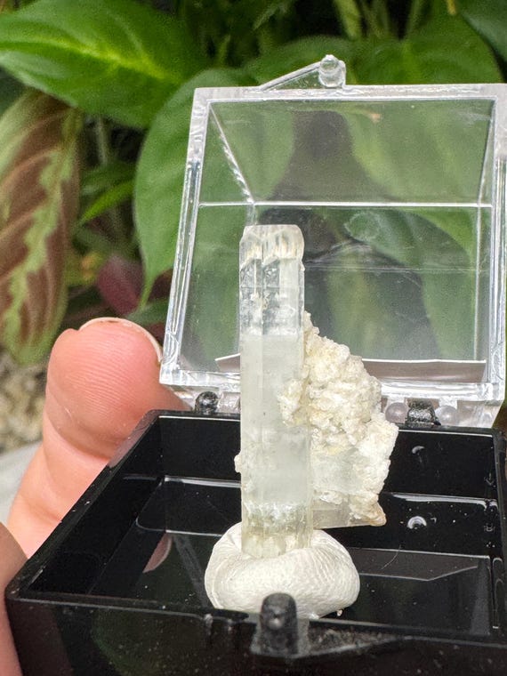 Aquamarine with Feldspar Thumbnail~Pakistan~Ledford’s Minerals