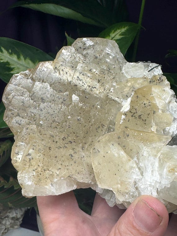Calcite Cluster with Mica and Pyrite Inclusions ~NAEM(North Carolina Emerald Mine)~Ex Terry Ledford~Ledford’s Minerals