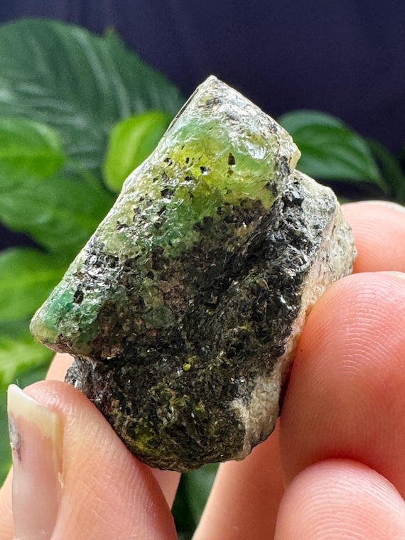 Crabtree Emerald on Quartz with Biotite, Ex Terry Ledford Collection