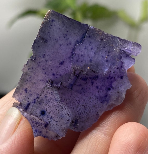 Illinois Fluorite with Pyrite Inclusions