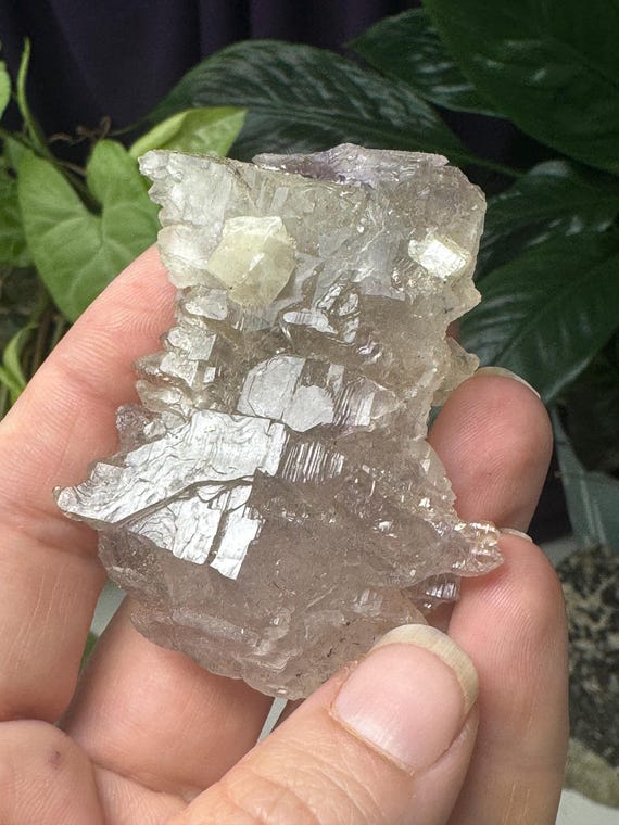 Unique Double Terminated Quartz Amethyst skirting ~North American Emerald Mine~Hiddenite, NC~Ex Terry Ledford Collection~Ledfords Minerals