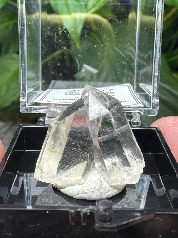 Quartz Crystal Thumbnail ~Purple Hope Claim~Washington~Collected by Joseph George~Ledford’s Minerals