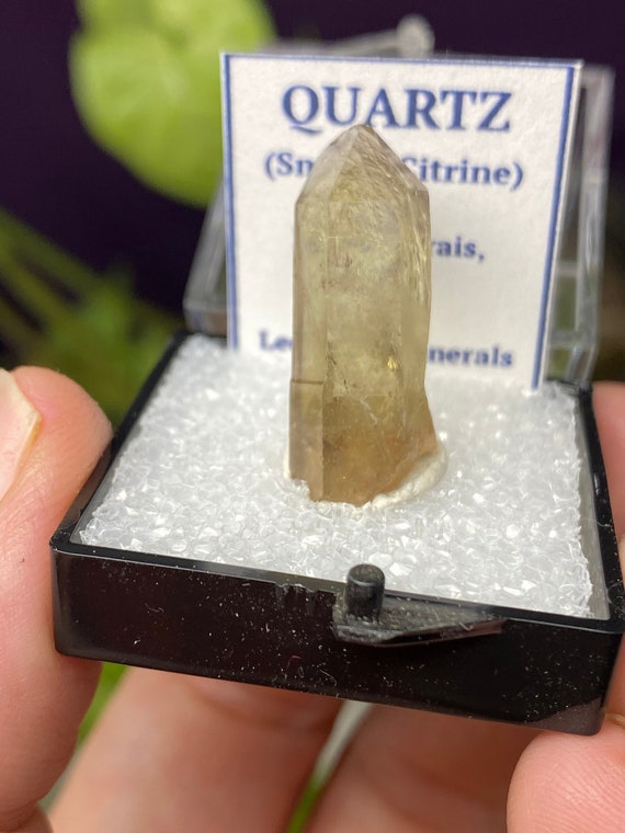 Brazil Golden Citrine Quartz Thumbnail~Nature Made Goods~Ledford's Minerals