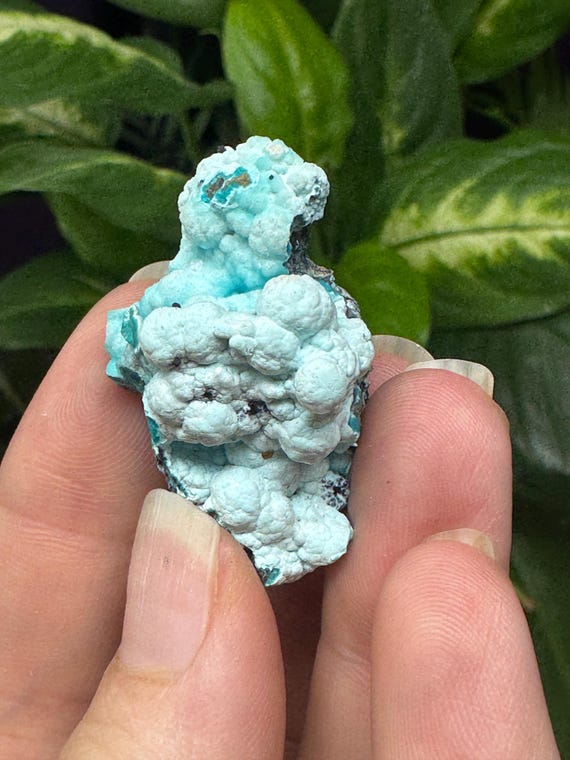Chrysocolla~The Planet Mine~Arizona~Nature Made Goods~Ledford’s Minerals