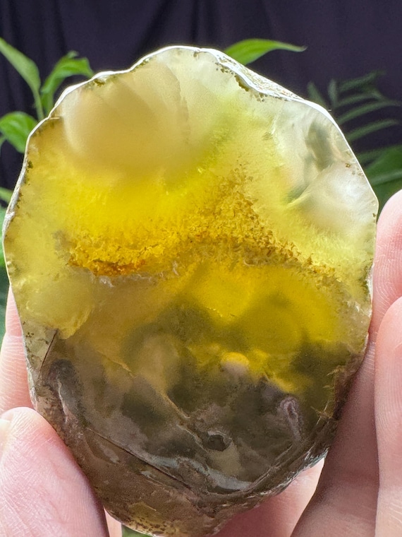 Polished Prehnite~Wave Hill, Northern Territory~Australia~Nature Made Goods~Ledford’s Minerals