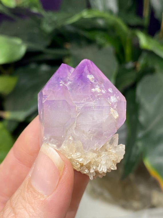 Jackson’s Crossroads Amethyst Cluster