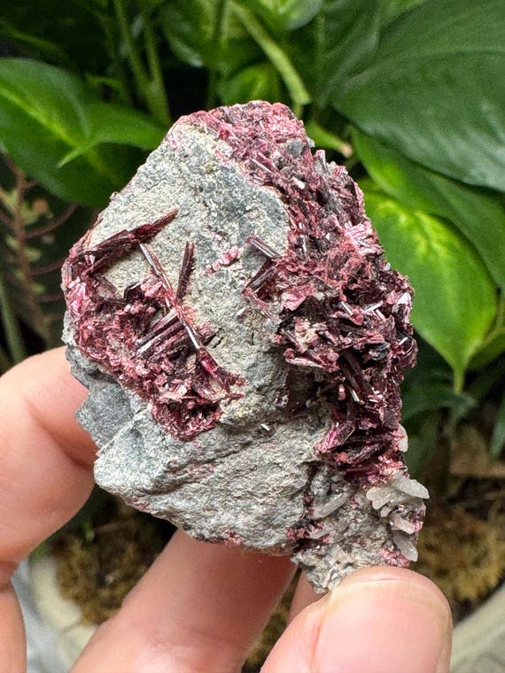 Erythrite~Morocco~Ledford’s Minerals