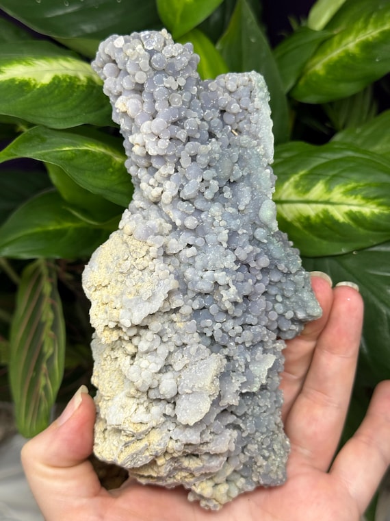 Large Grape Agate~Indonesia~Nature Made Goods~Ledford’s Minerals