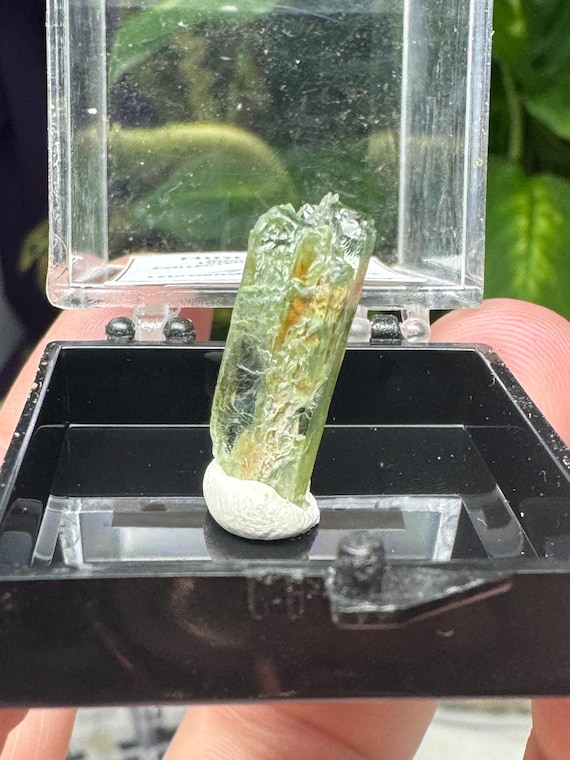 Rare Chromium Green North Carolina Hiddenite Spodumene Crystal Thumbnail~Ex Terry Ledford Collection~Ledford’s Minerals