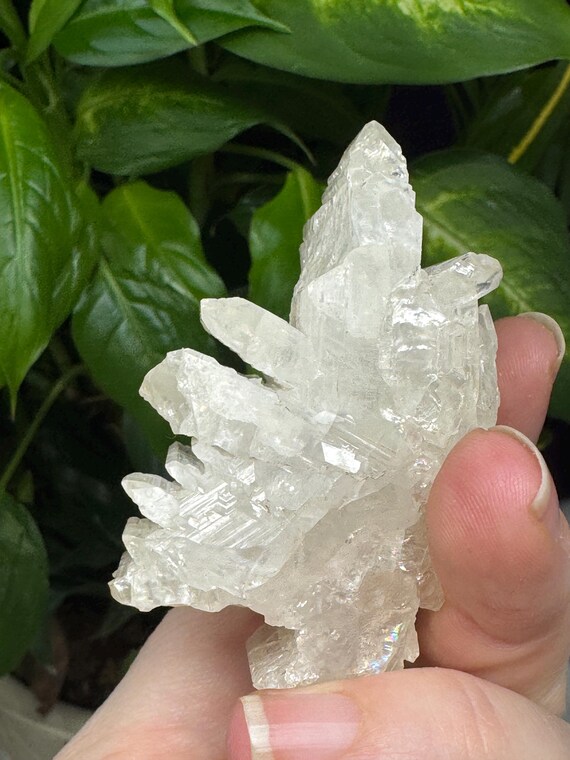 Cerussite Cluster ~Tsumeb, Namibia~Ledford’s Minerals~Old finds