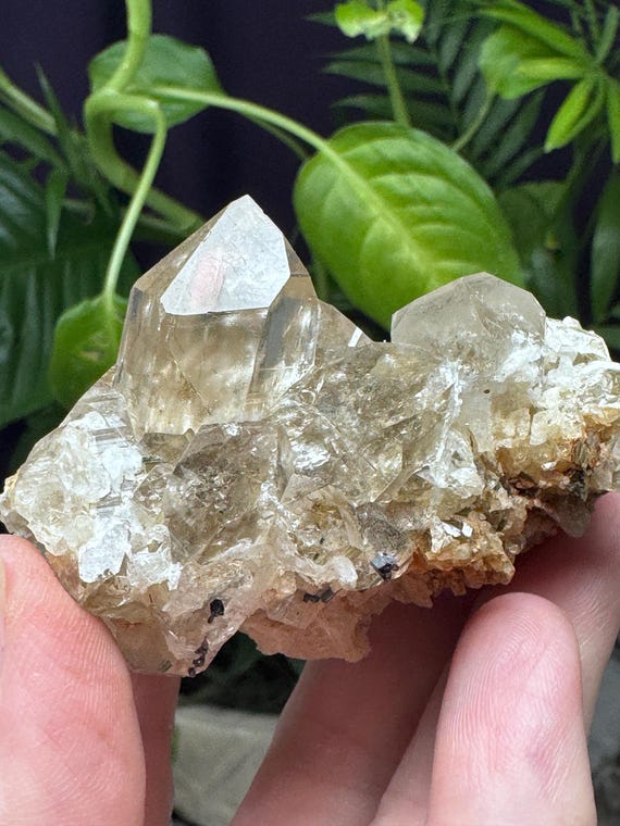Quartz Cluster with Rutile~NAEM~Hiddenite, North Carolina~Ledford’s Minerals