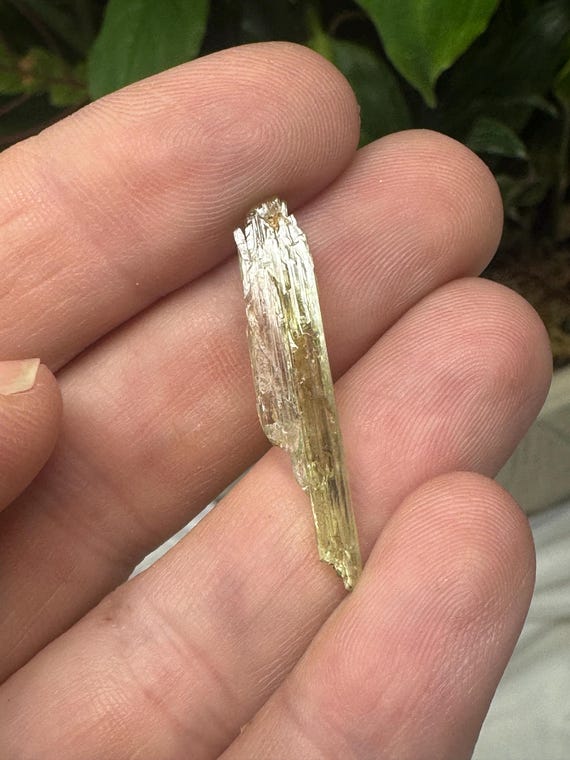 Rare North Carolina Hiddenite Crystal~Ex Terry Ledford Collection~Ledford’s Minerals