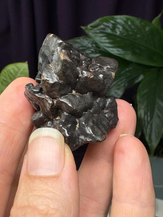 Egyptian Prophecy Stones~Marcasite and Pyrite Pseudomorph Limonite~Ledford’s Minerals