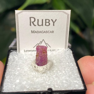 May include: A raw ruby gemstone from Madagascar, presented in a black display case with a white interior. The label reads "Ruby Madagascar". The ruby is a vibrant pinkish-red color and is mounted on a small, light-colored rock.