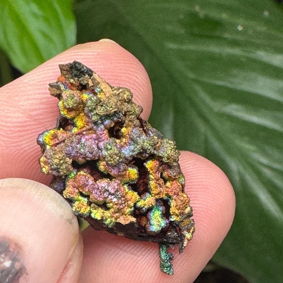 Turgite with Rainbow Iridescent Hematite~Lincoln County, GA~Graves Mountain~Collected by Terry Ledford~CrystallineDreamMin