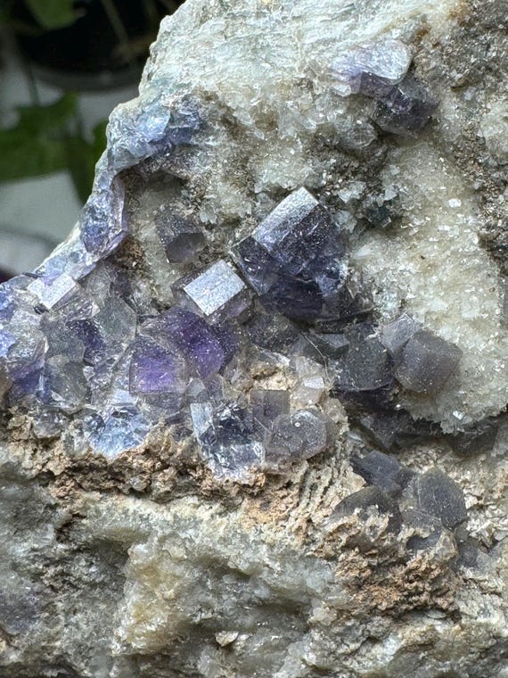Purple Apetite with Pyrite Incluions ~Foote Mine~Kings Mountain North Carolina~Ledford’s Minerals