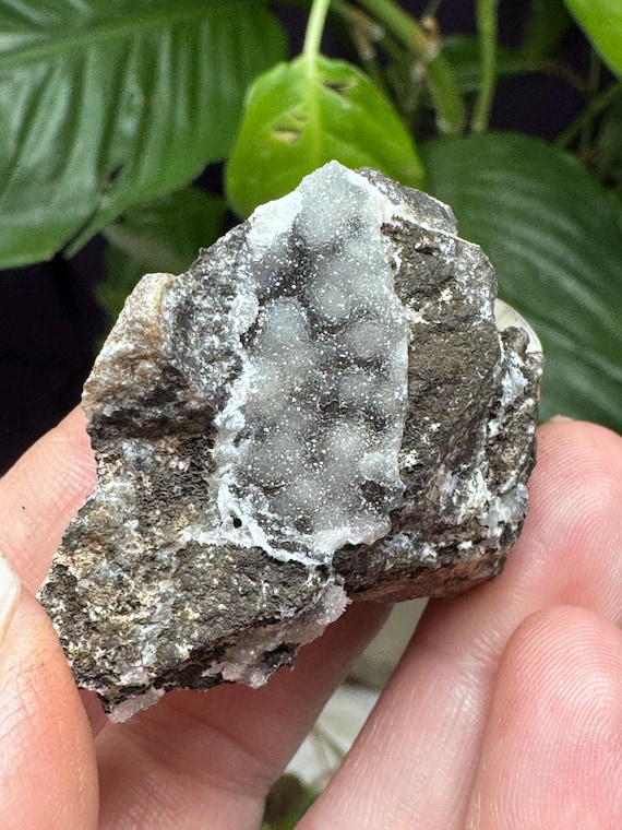Quartz after Wulfenite Pseudomorph on Chalcedony~4.75 x 4.5cm~The Finch Mine, Gila County, Arizona~Ledford’s Minerals
