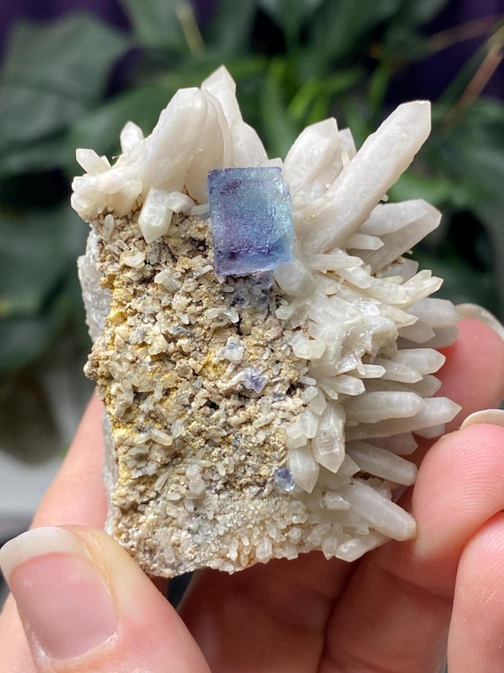 Aesthetic Brandberg Blue and Purple Fluorite and Quartz