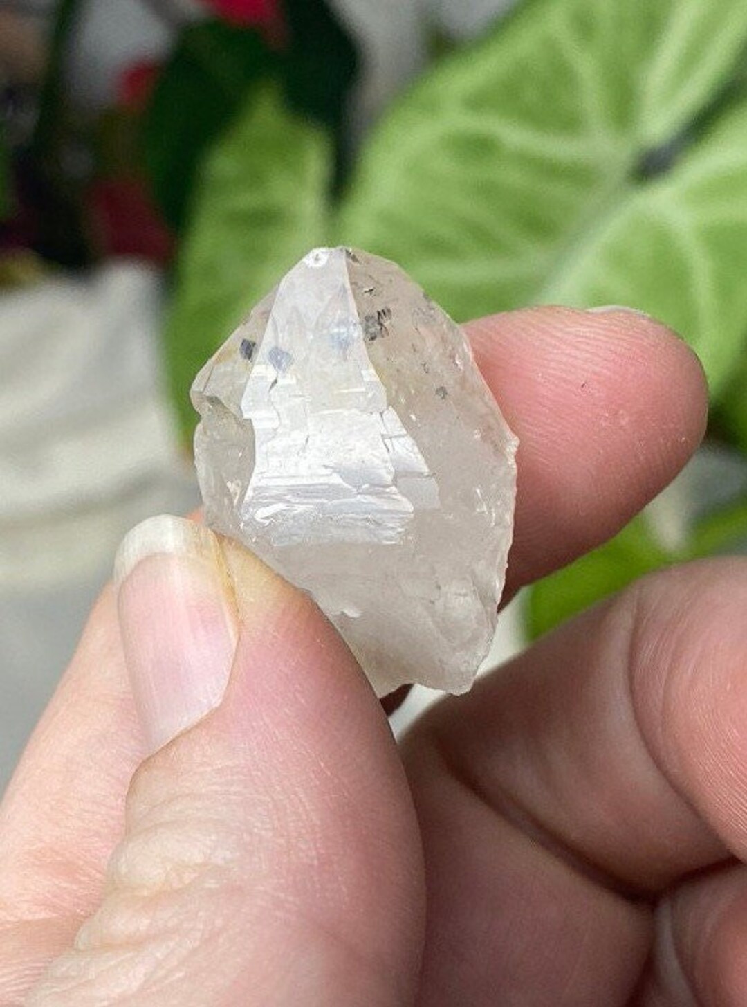 North Carolina Quartz With Inclusion Etsy