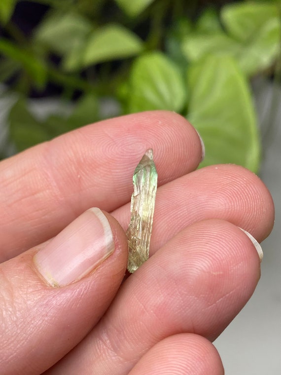 Rare Chromium Green North Carolina Hiddenite Crystal
