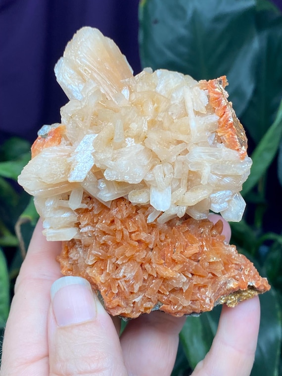 Beautiful Aesthetic Stilbite Cluster