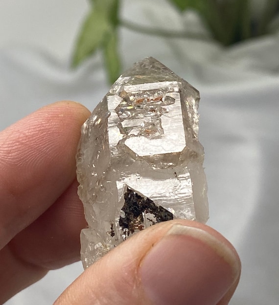 Quartz Scepter with Mud Inclusions