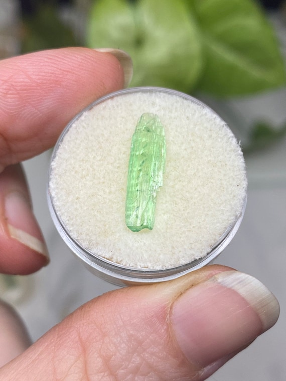 Rare Chromium Green North Carolina Hiddenite Crystal