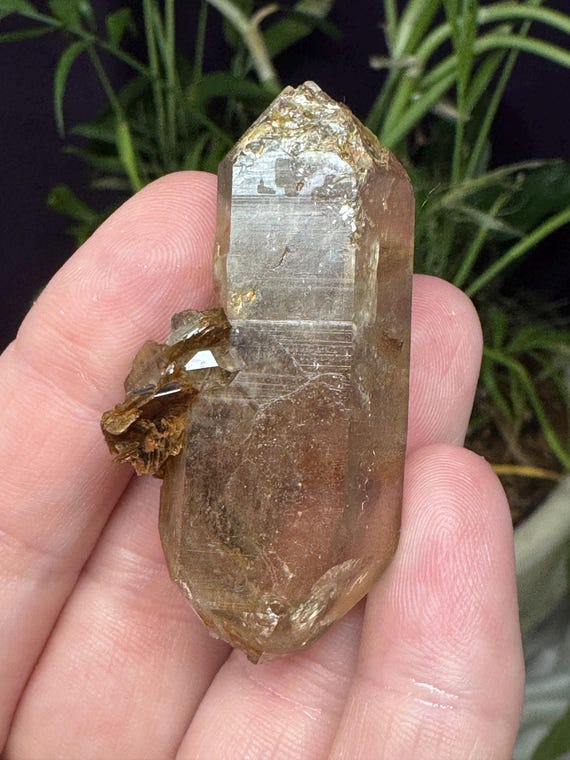 Quartz ~Hiddenite North Carolina~Ex Terry Ledford Collection~Ledford’s Minerals