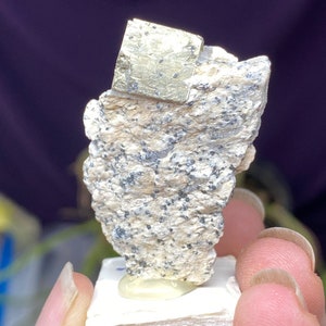 Old Collection Pyrite in Pyrophyllite Moore County North Carolina