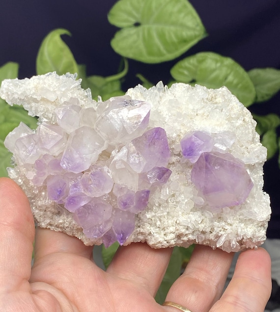 Jackson’s Crossroads Amethyst Cluster with Rosettes and Scepters on Druzy