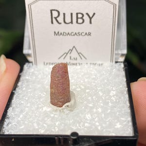 May include: A small, raw ruby crystal from Madagascar, presented in a clear display case. The ruby is a reddish-pink color and is mounted on a white base. The display case has a black frame and a white label that reads "Ruby Madagascar".