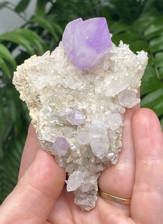 JXR Amethyst Cluster with Rosettes and Scepters on Druzy