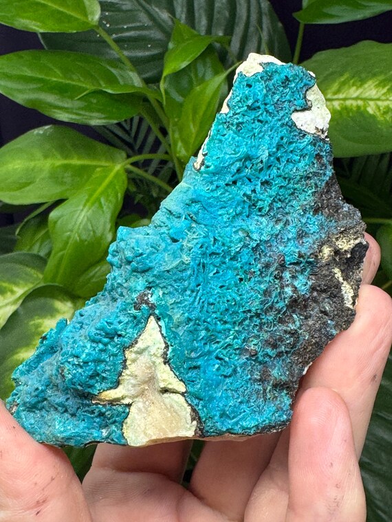 Chrysocolla~Italy~Crystalline Dream Minerals~Ledford’s Minerals