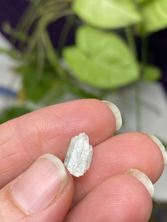 North Carolina Beryl var. Aquamarine