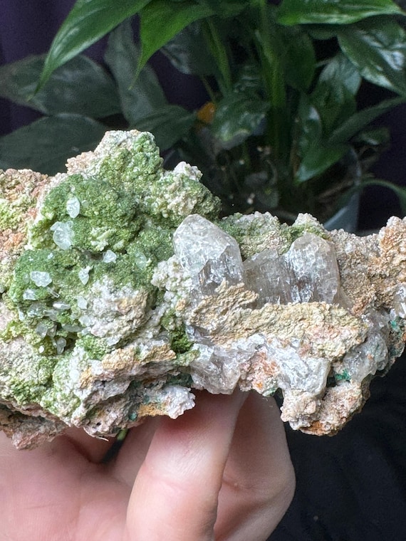 Cerrusite with Duftite and Malachite~Tsumeb, Namibia~Ledford’s Minerals~Old finds