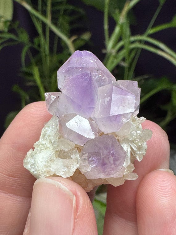 Amethyst ~Jackson’s Crossroads Amethyst Mine~Wilkes County, GA~JXR~Ledford’s Minerals