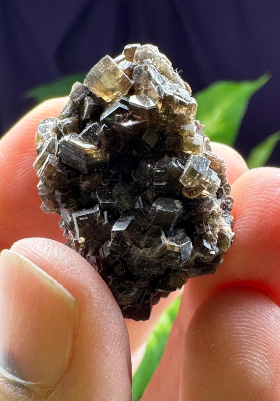 Muscovite Cluster~ Private Location, Lincolnton NC~Ex Terry Ledford Collection