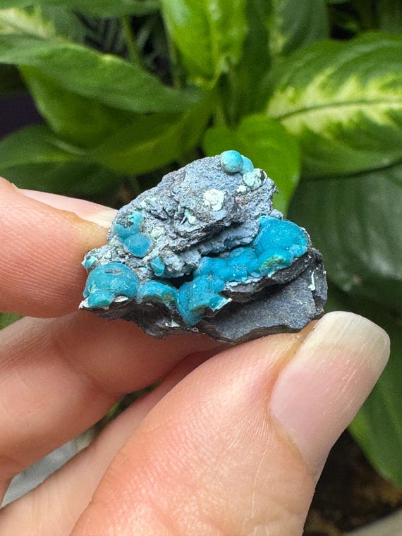 Chrysocolla~The Planet Mine~Arizona~Nature Made Goods~Ledford’s Minerals