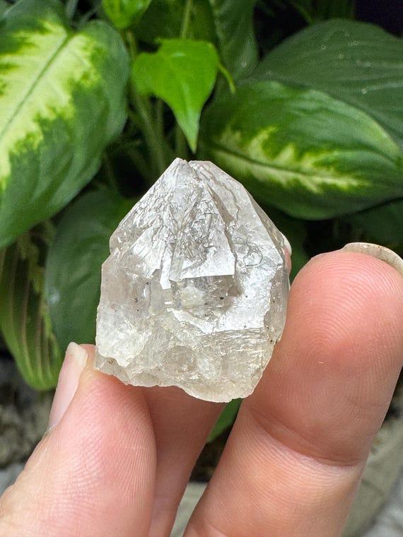 North Carolina Quartz with Pyrite Inclusions~Ex Terry Ledford Collection~Nature Made Goods~Ledford's Minerals