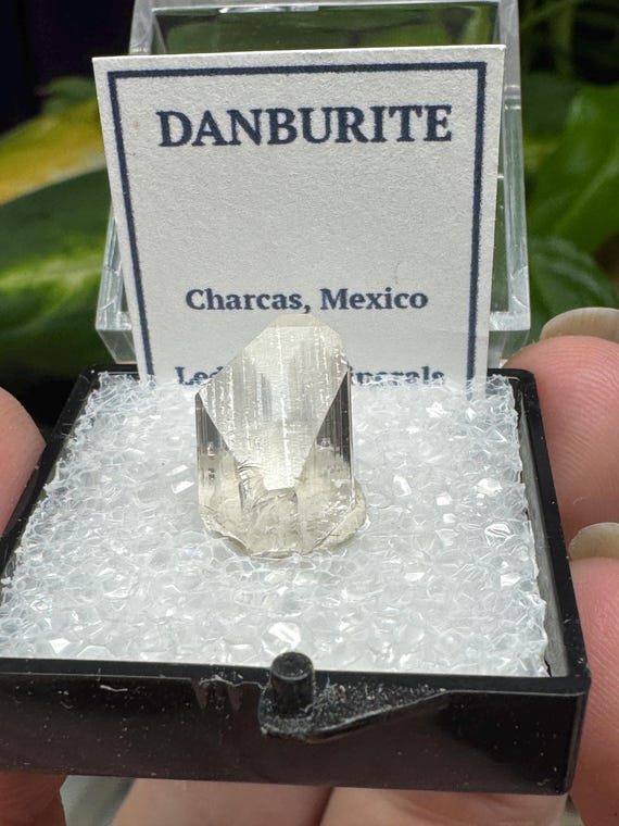 Danburite~Charcus Mexico~Crystalline Dream Minerals~Ledfords Minerals