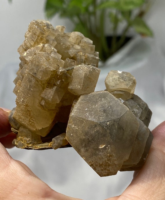 Calcite with Muscovite
