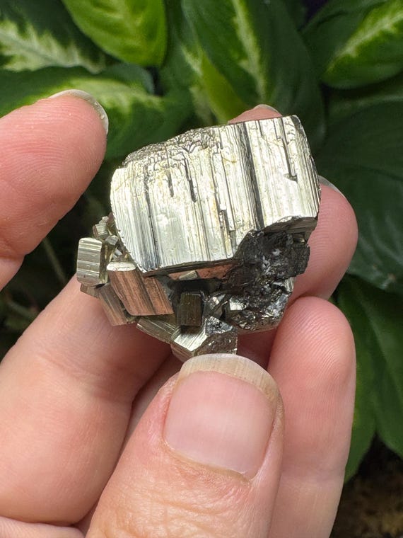 Lustrous Pyrite Cluster~Eagle Mine~Gilman, Eagle County~Colorado~Ex John Helms Collection ~Ledford’s Minerals~Nature Made Goods