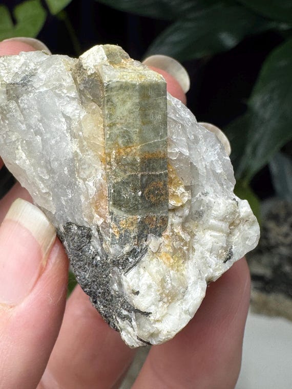 Green Beryl ~North Carolina Crabtree Emerald Mine~Ex Terry Ledford Collection~Ledford’s Minerals