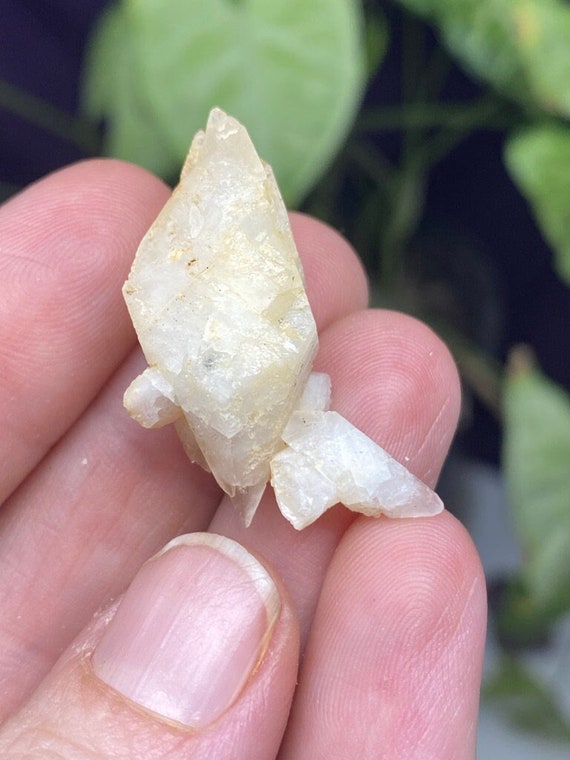 Etched Kentucky Dogtooth Calcite Cluster