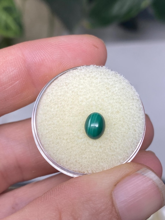 Beautiful Oval Malachite Cabachon  Stone~Nature Made Goods~Ledford's Minerals