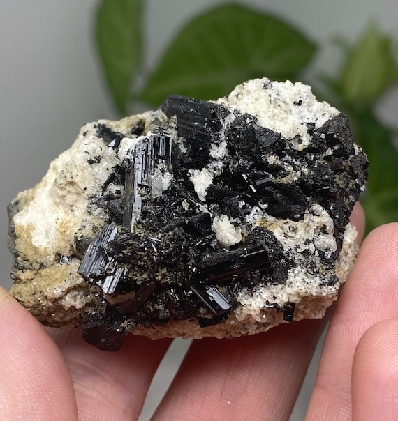 Black Schorl Cluster on Albite