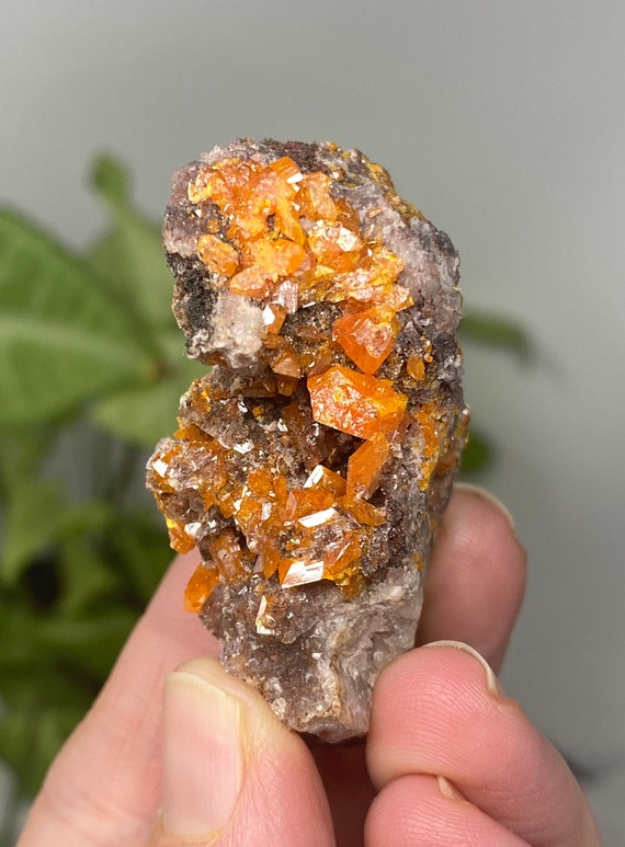 Vibrant Orange Red Cloud Wulfenite Cluster