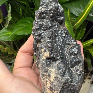 May include: A dark, metallic mineral specimen with a rough, textured surface. The mineral is held in a hand, with green foliage in the background. The specimen has a dark, almost black colour with a slightly reflective sheen.
