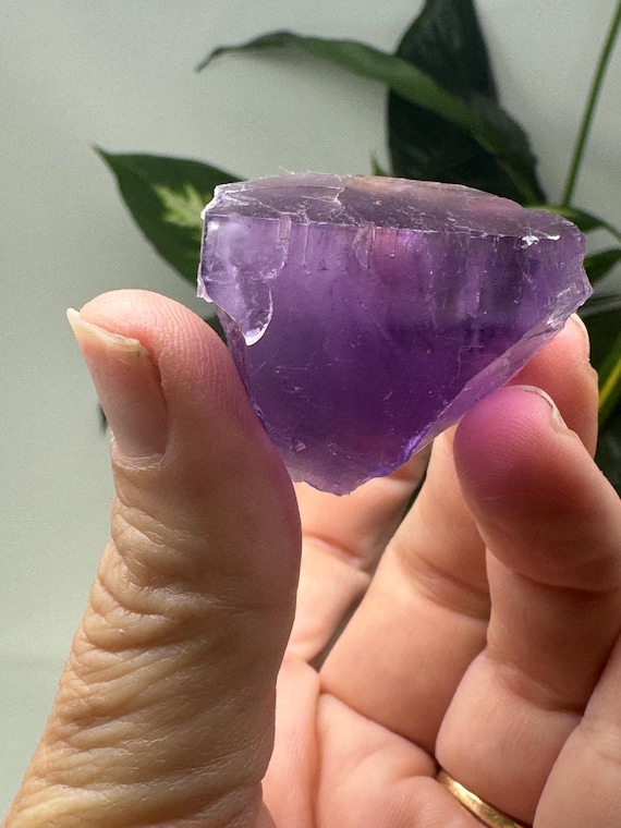 Purple Hasties Quarry Illinois Fluorite with UV Reactive Petroleum Inclusions~Ledford’s Minerals