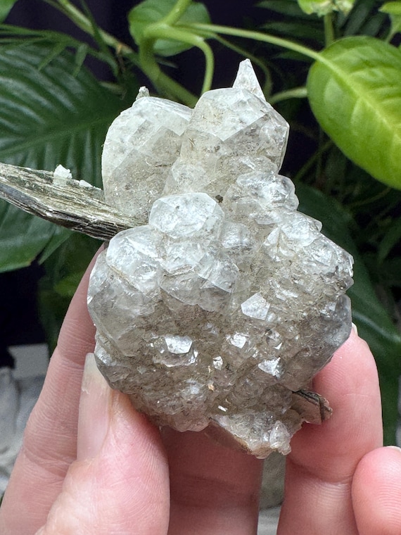 NAEM Hiddenite North Carolina Calcite cluster with Mica and Pyrite Inclusions~Ledford’s Minerals